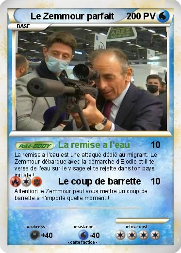Pokemon Le Zemmour parfait