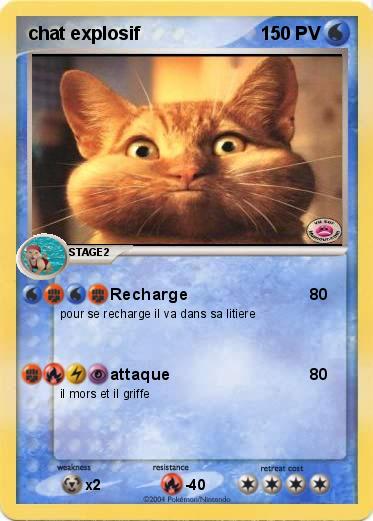 Pokemon chat explosif