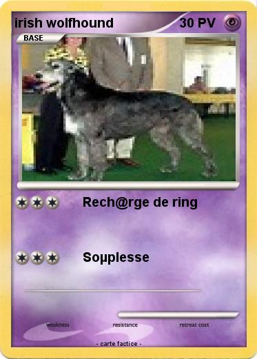 Pokemon irish wolfhound