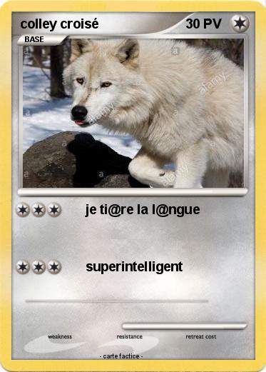 Pokemon colley croisé