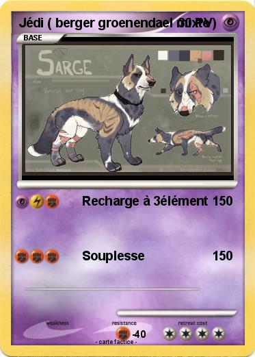 Pokemon Jédi ( berger groenendael mixte )