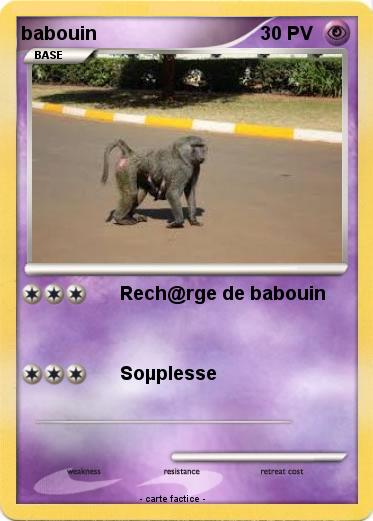 Pokemon babouin