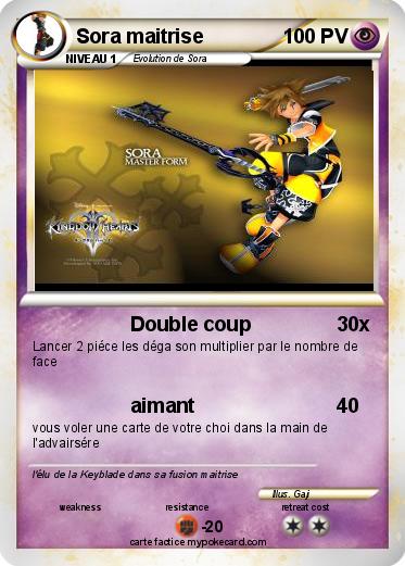 Pokemon Sora maitrise