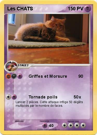 Pokemon Les CHATS