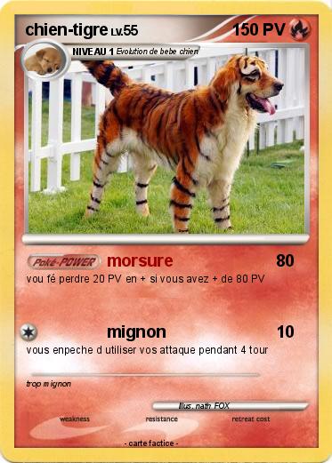Pokemon chien-tigre