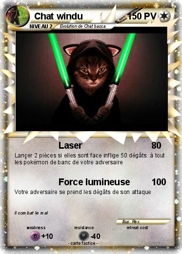 Pokemon Chat windu
