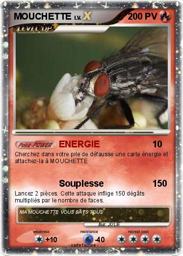 Pokemon MOUCHETTE