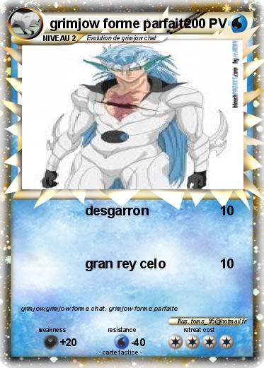 Pokemon grimjow forme parfaite