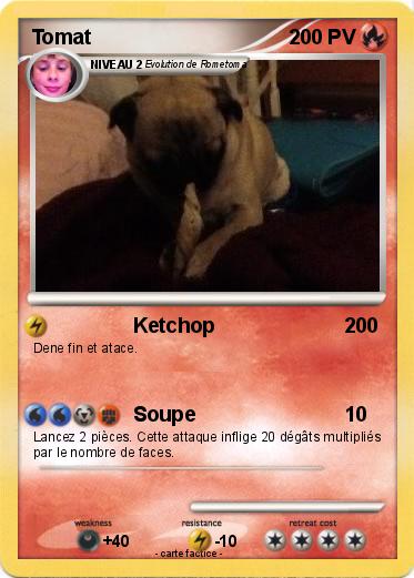 Pokemon Tomat