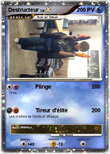 Pokemon Destructeur
