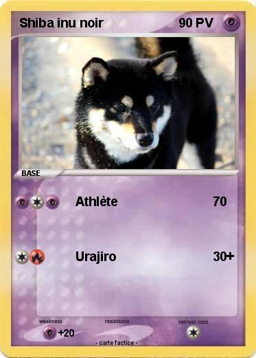Pokemon Shiba inu noir