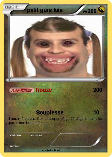 Pokemon petit gars lais