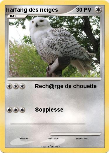 Pokemon harfang des neiges