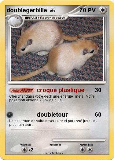 Pokemon doublegerbille