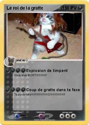 Pokemon Le roi de la gratte