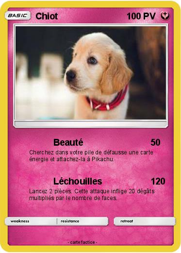 Pokemon Chiot