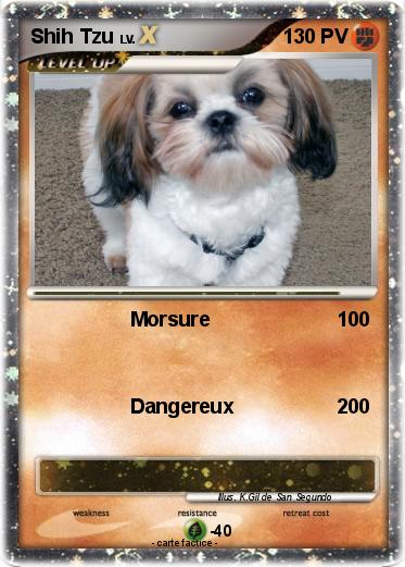 Pokemon Shih Tzu