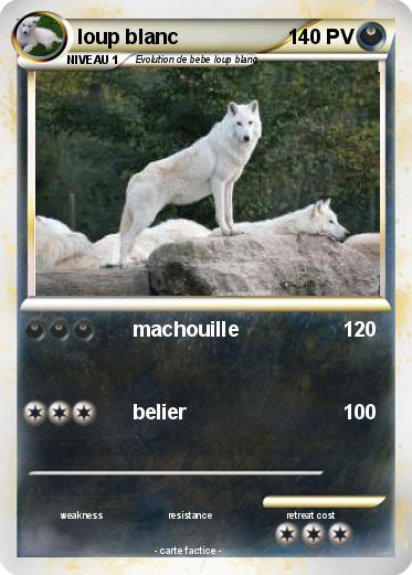 Pokemon loup blanc