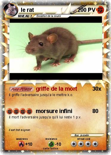 Pokemon le rat