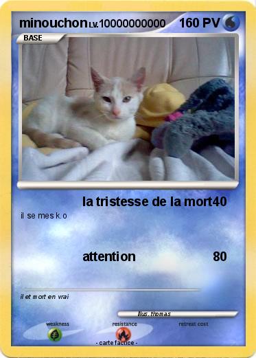 Pokemon minouchon