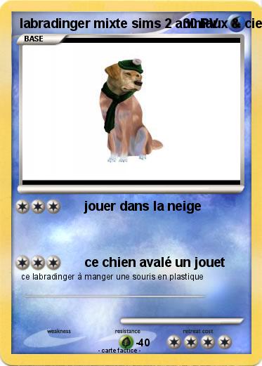 Pokemon labradinger mixte sims 2 animaux & cie