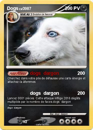 Pokemon Dogs