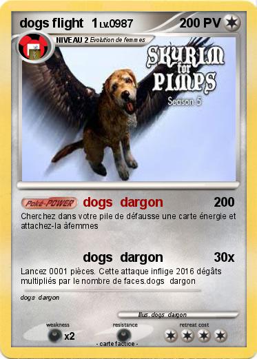 Pokemon dogs flight  1