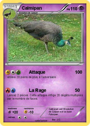 Pokemon Calmipan