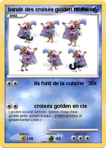 Pokemon bande des croisés golden retriever