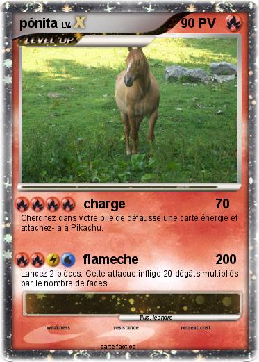 Pokemon pônita