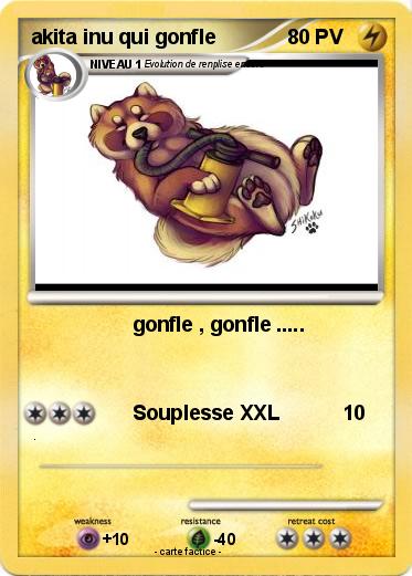 Pokemon akita inu qui gonfle