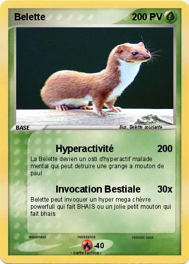 Pokemon Belette