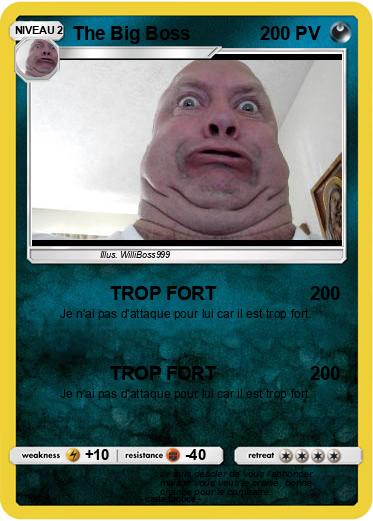 Pokemon The Big Boss