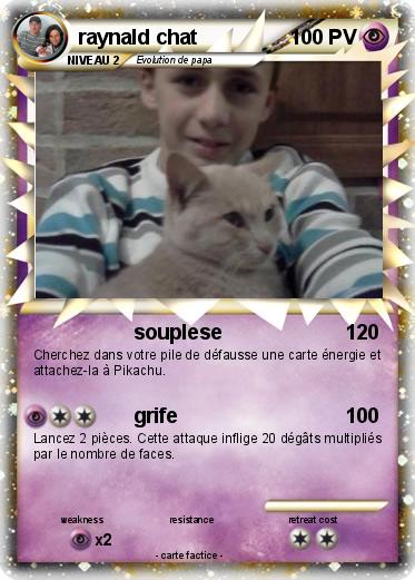 Pokemon raynald chat