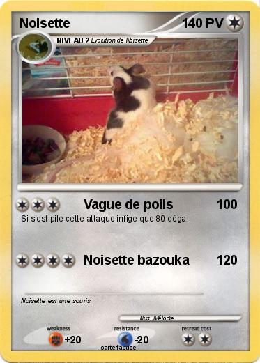 Pokemon Noisette