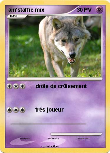 Pokemon am'staffie mix