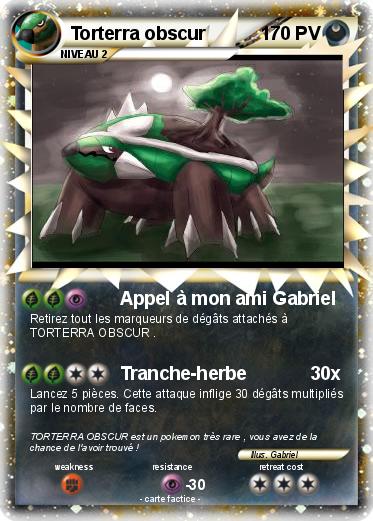 Pokemon Torterra obscur