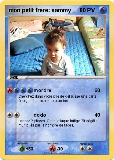 Pokemon mon petit frere: sammy