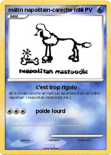 Pokemon mâtin napolitain-caniche mix