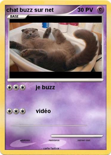 Pokemon chat buzz sur net