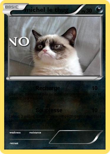 Pokemon michel le thug