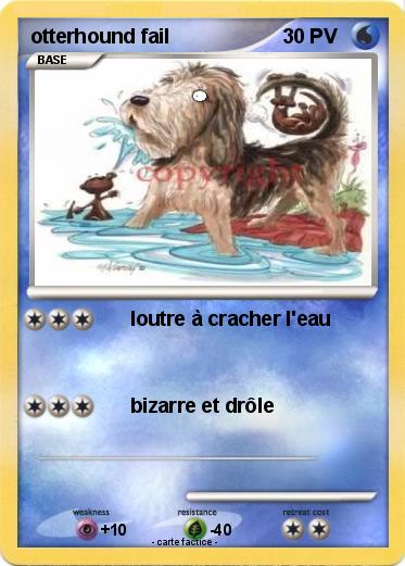 Pokemon otterhound fail