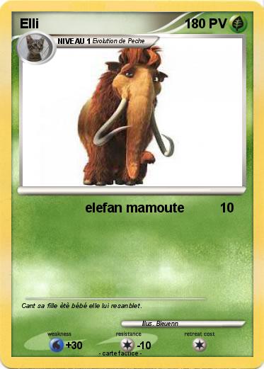 Pokemon Elli