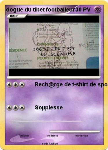 Pokemon dogue du tibet footballeur