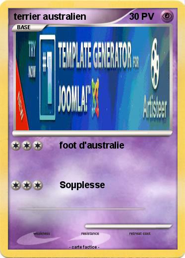 Pokemon terrier australien