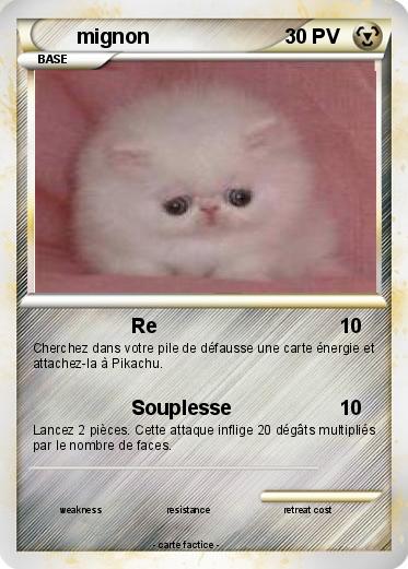 Pokemon mignon