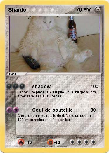 Pokemon Shaido