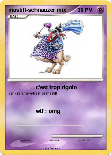 Pokemon mastiff-schnauzer mix