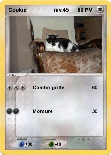 Pokemon Cookie                  niv.45