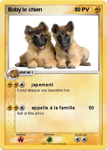 Pokemon Boby le chien